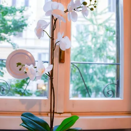 Apartment Saint Peter House Germanico Rome